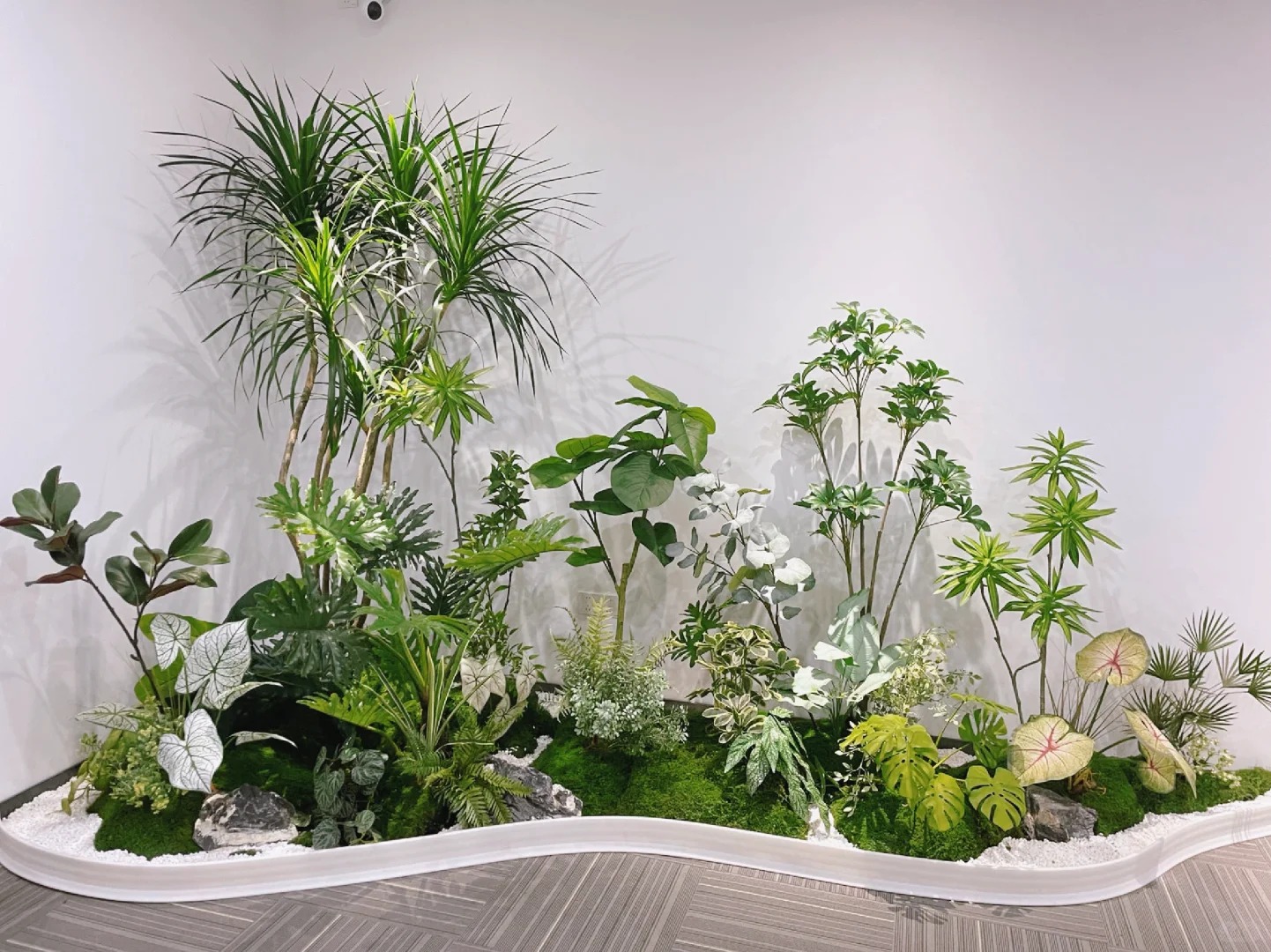 余姚植物租摆，给您的生活增添一抹自然绿